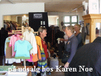 Hos Karen Noe.JPG (306732 byte)